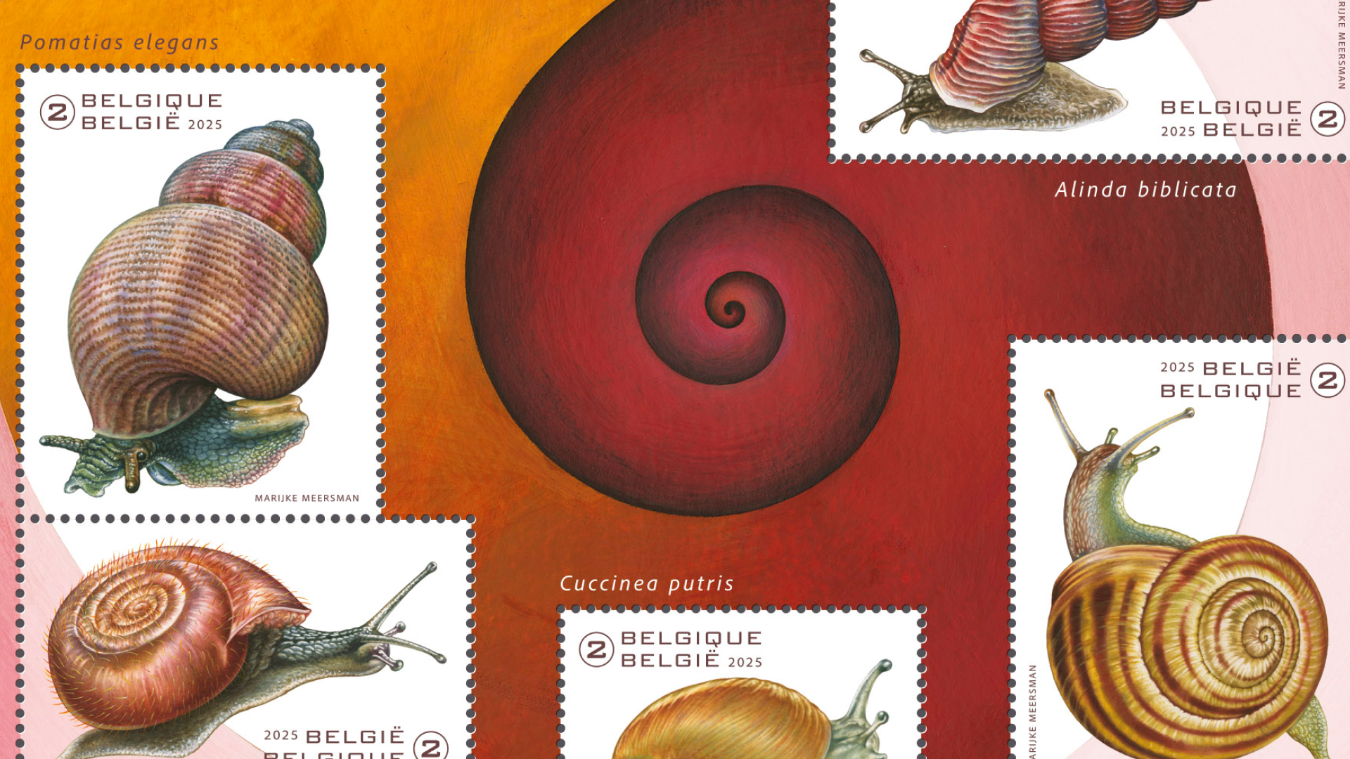  Mollusques terrestres