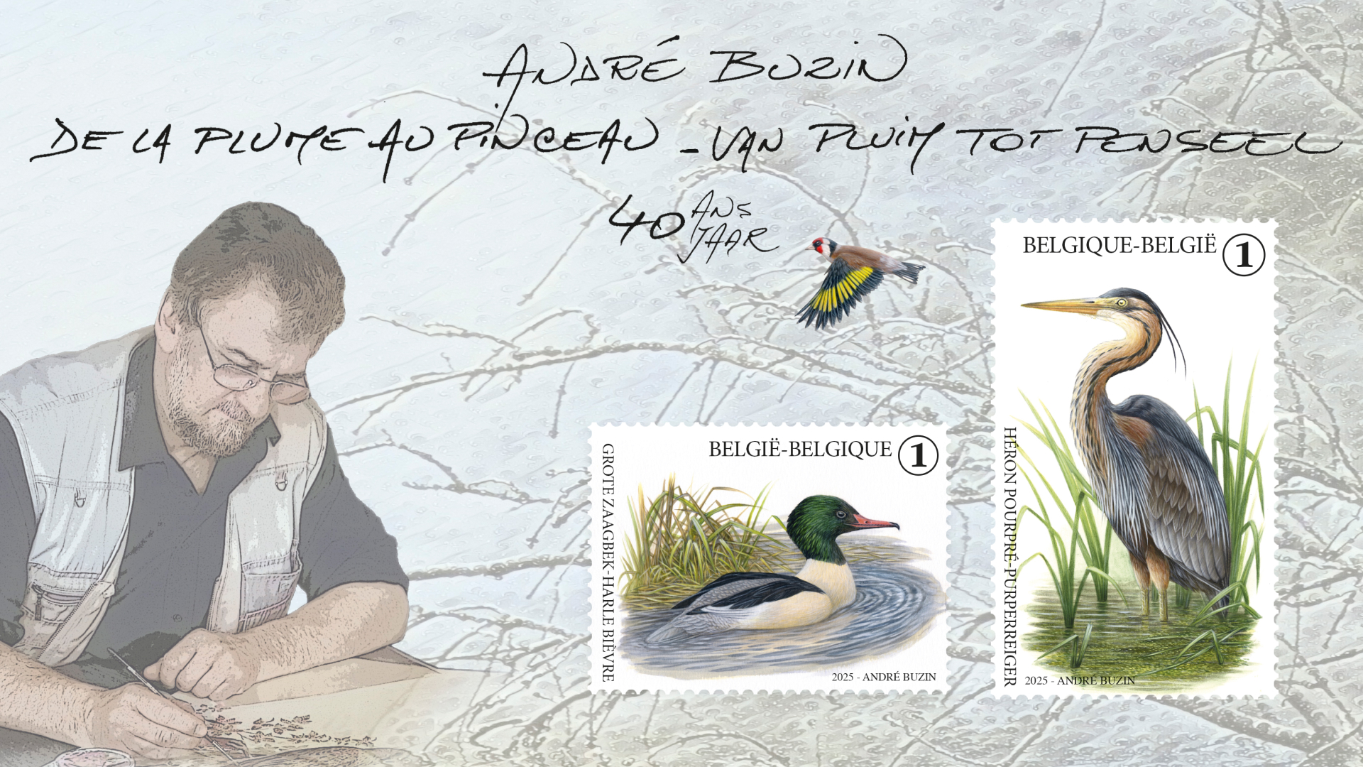 40 ans des oiseaux d'André Buzin: De la plume au pinceau