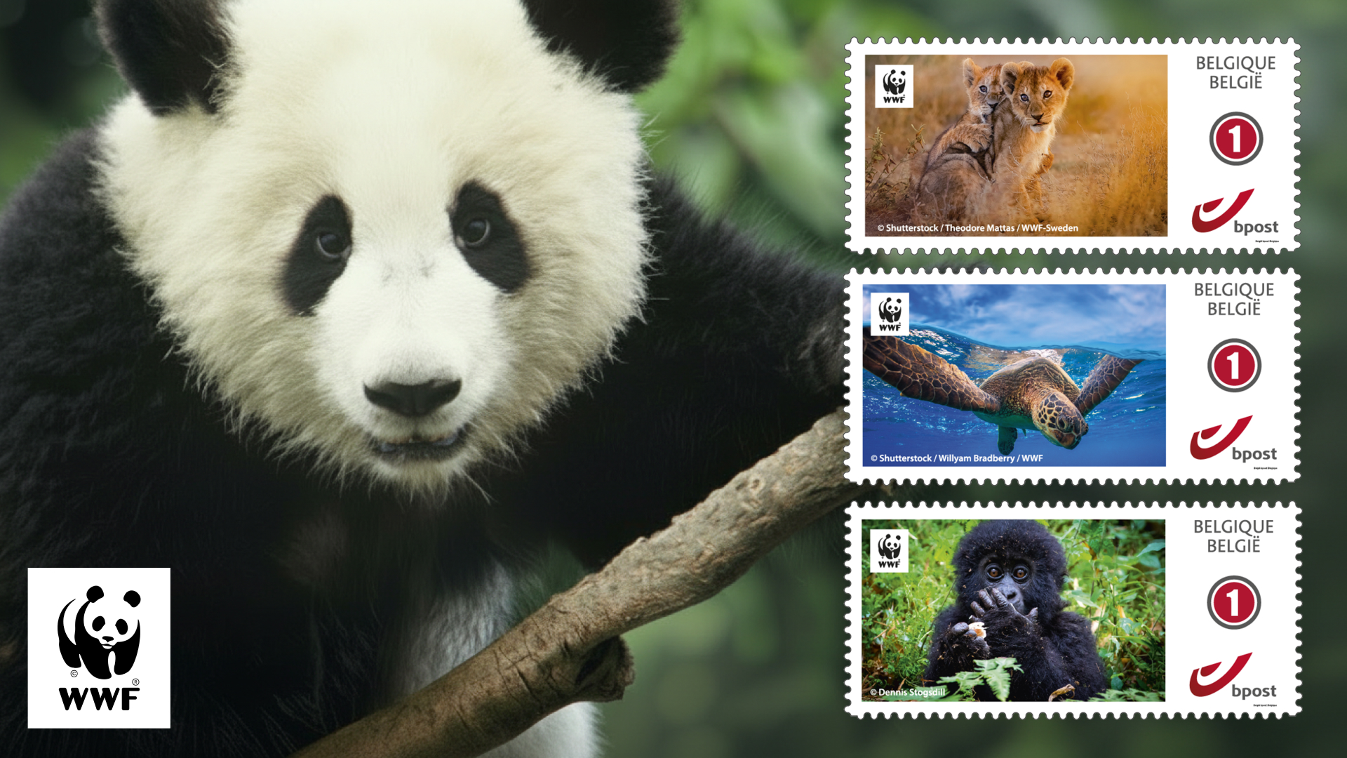 WWF