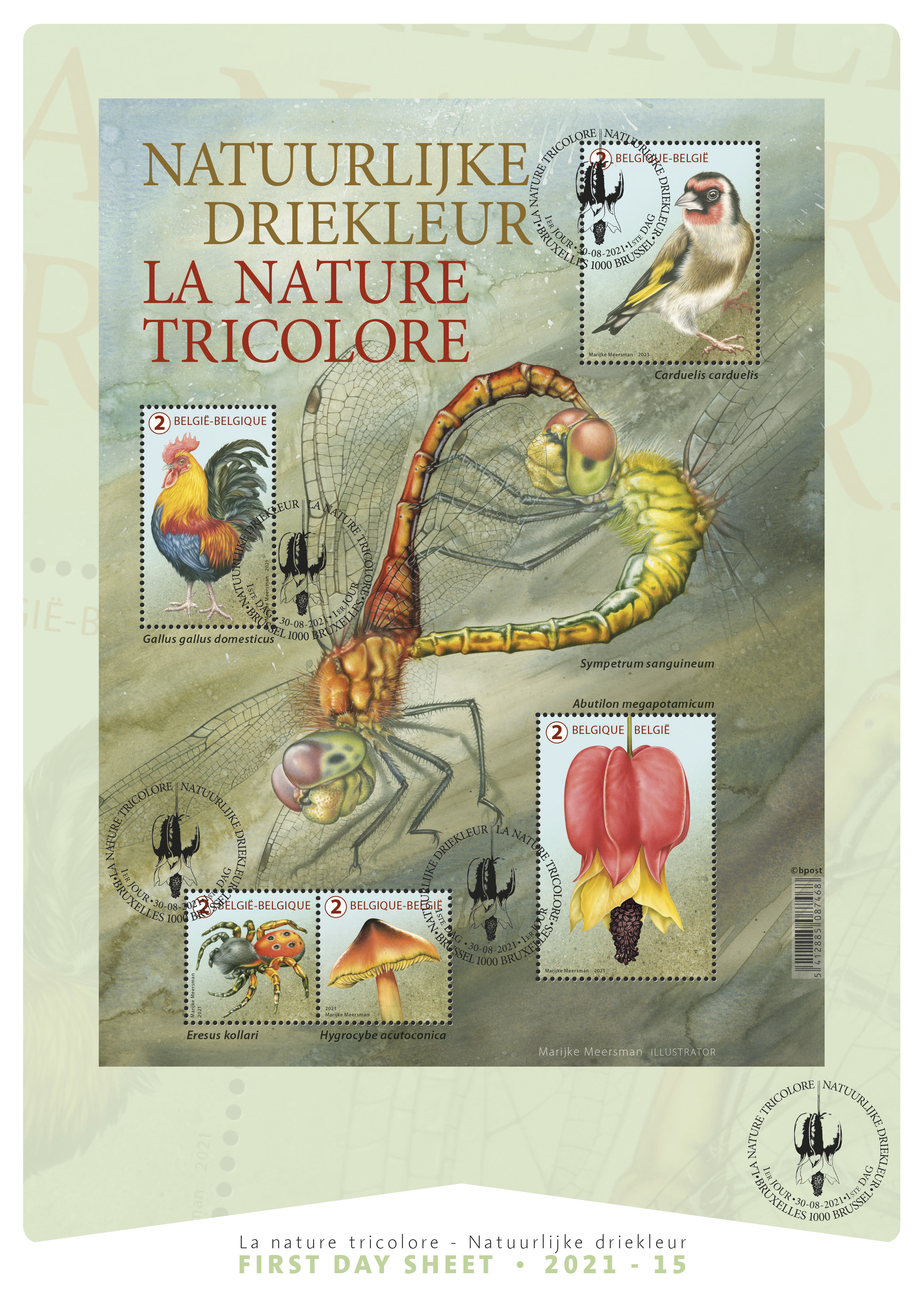 alt for - 15 NATURE TRICOLORE FDS.jpg