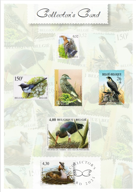 alt for - Coll Card Buzin 2-recto_32632.jpg