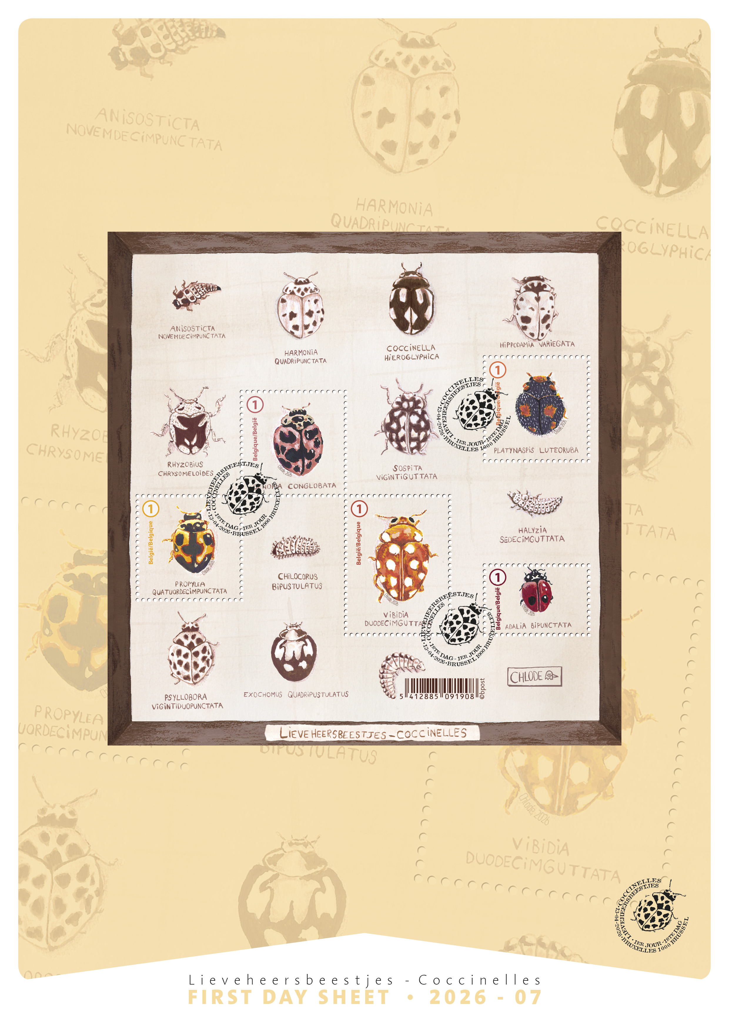 alt for - 07-Lieveheersbeetjes-FDS-recto.jpg