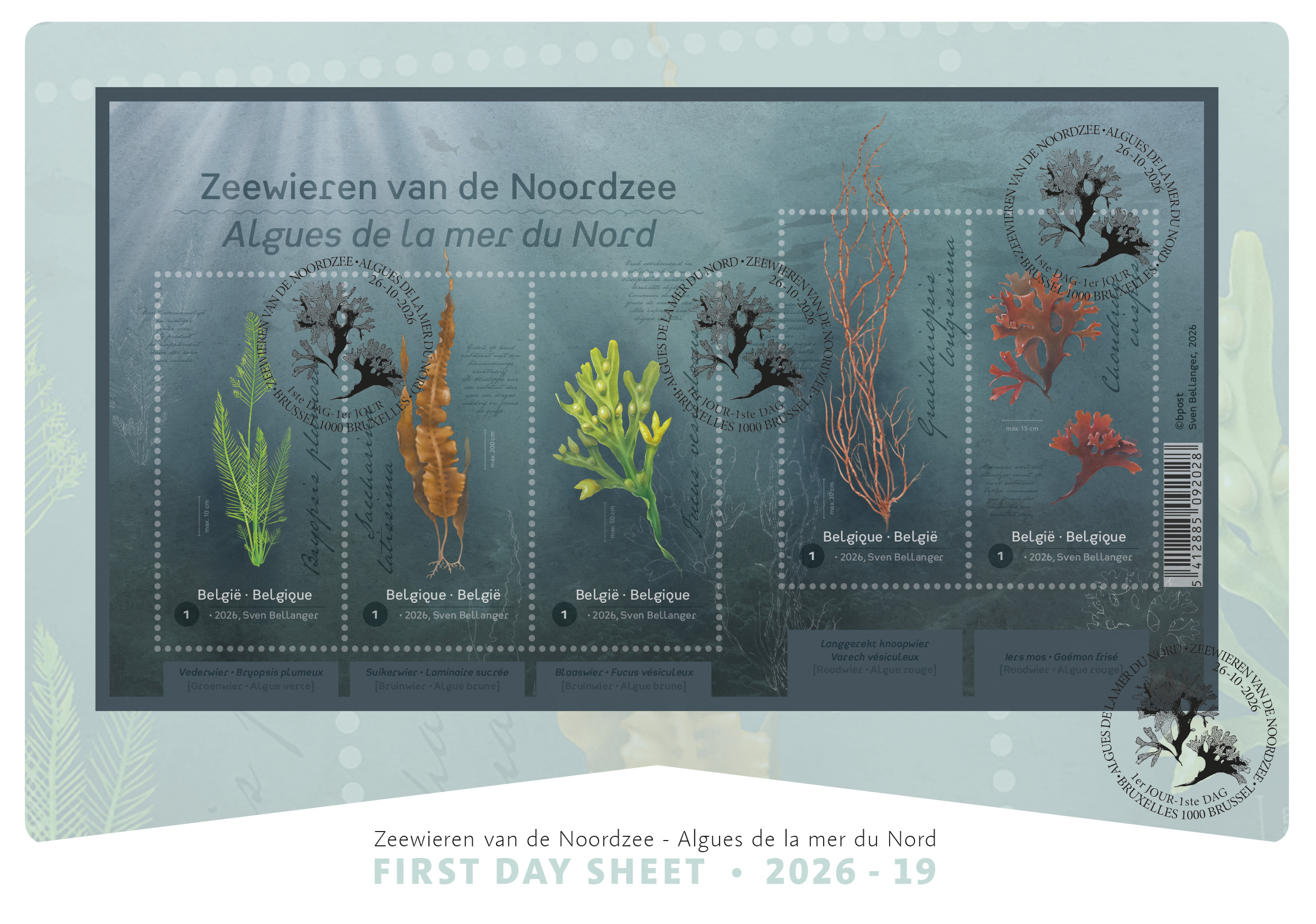 alt for - 19-Zeewieren-FDS-recto.jpg