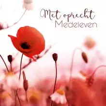 alt for - NL20.jpg