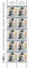alt for - 07bis-Oiseau-AR-Brilduiker-zfeuille.jpg