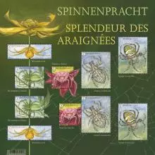 alt for - 15-Spinnenpracht-vel.jpg