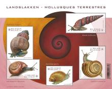 alt for - 16 Landslakken blaadje sellable 32467.jpg