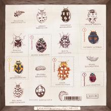 alt for - 07-Coccinelles-blaadje.jpg