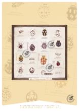 alt for - 07-Lieveheersbeetjes-FDS-recto.jpg