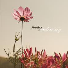 alt for - 5268200014-NL_1.jpg