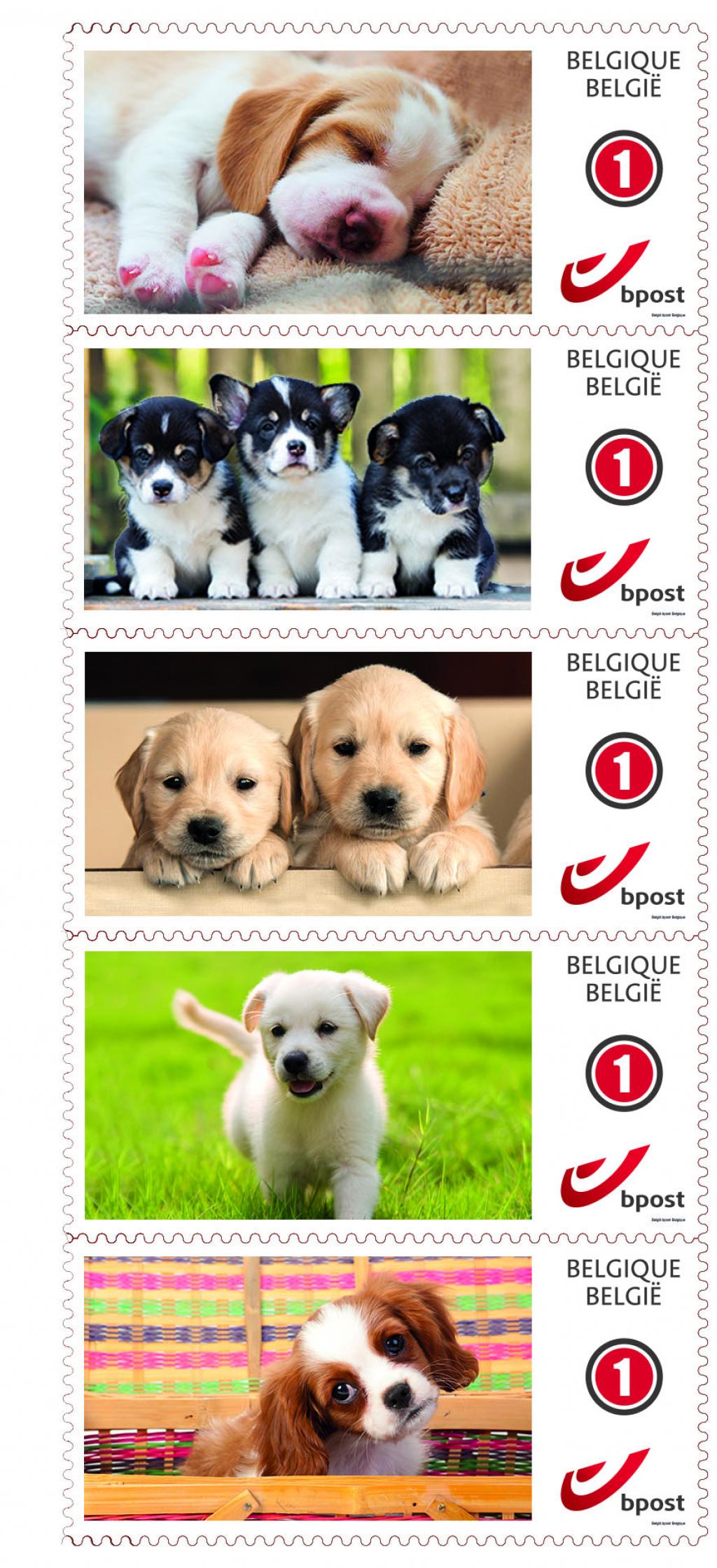 alt for - 14062017_TS-stamps-puppies-def.jpg