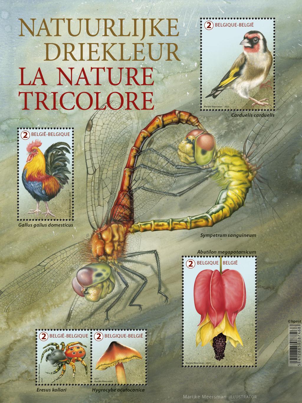alt for - 15-Nature-tricolore-blaadje.jpg