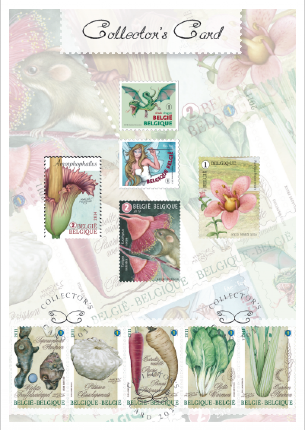 alt for - CollCard-Marijke-Meersman.jpg-31867.png