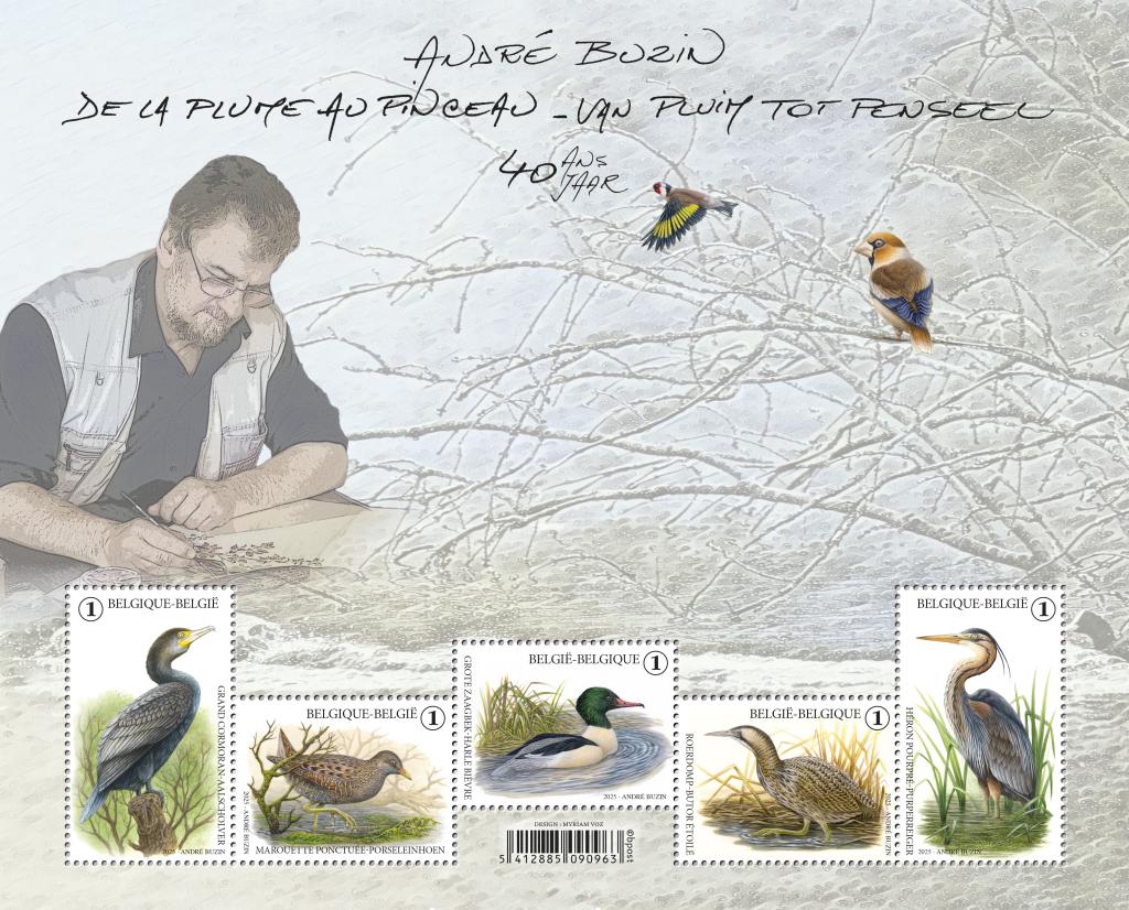 alt for - 18-40-ans-Oiseaux-Buzin-sellable-32462.jpg