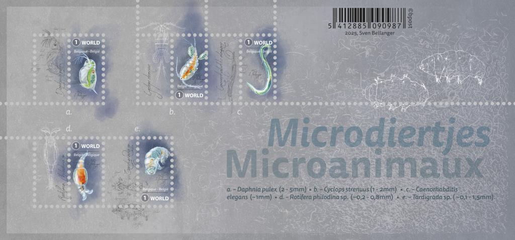 alt for - 17-Microdiertjes-blaadje-sellable-32463.jpg