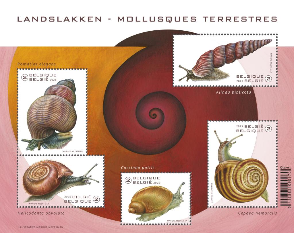 alt for - 16 Landslakken blaadje sellable 32467.jpg