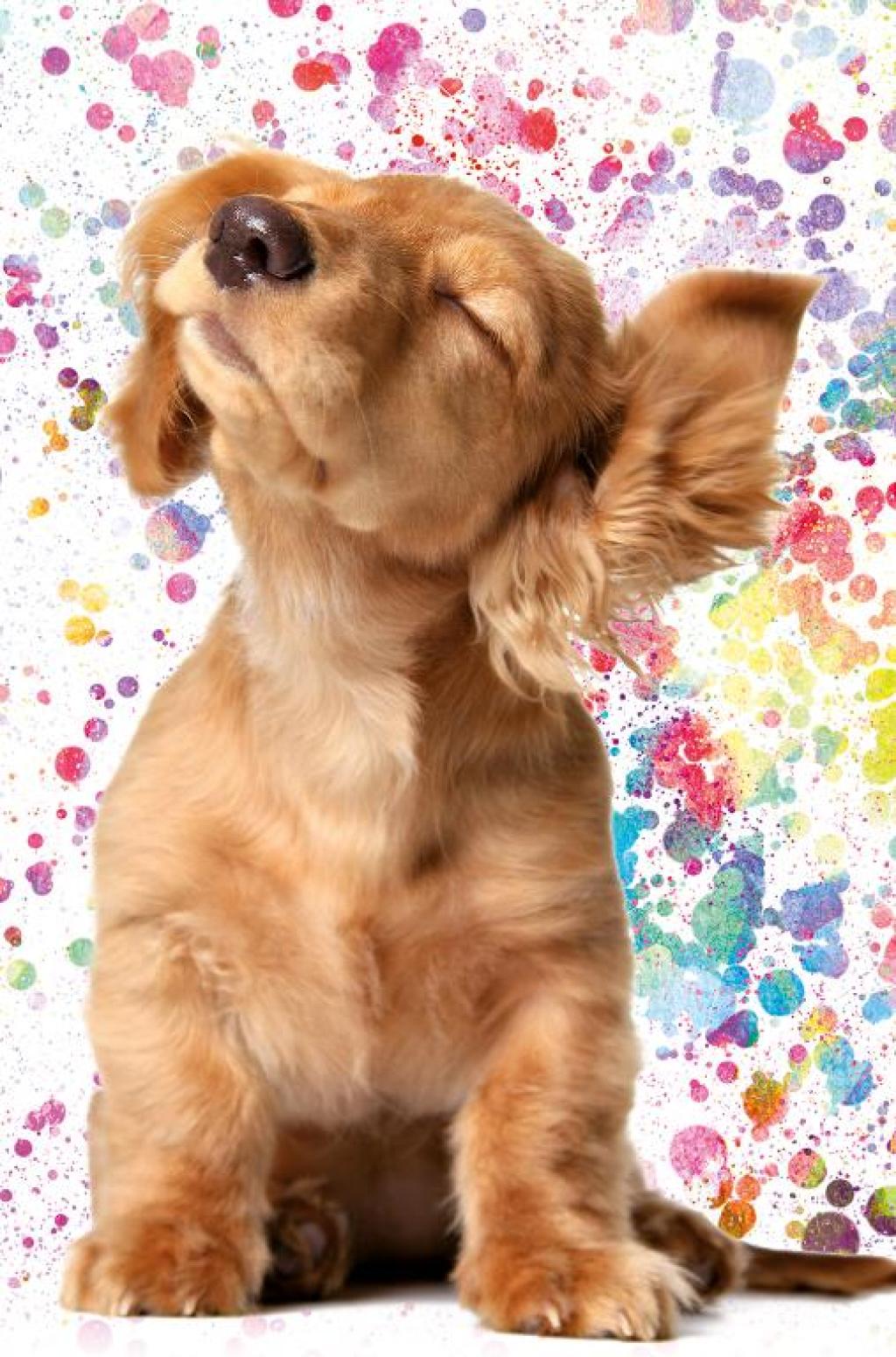 alt for - 0014999003---SEL-33034.jpg