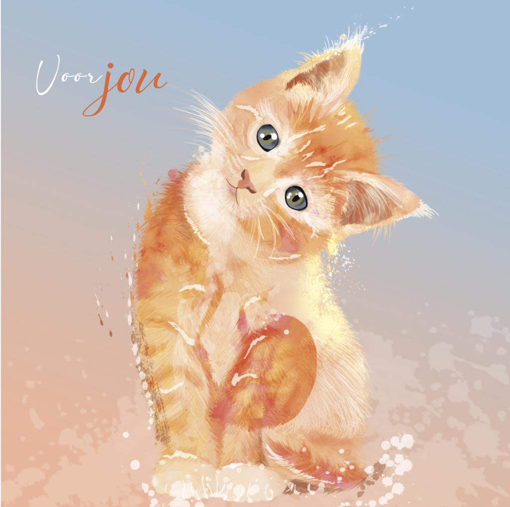 alt for - 5268200010-NL_1.jpg