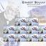 alt for - 08-ErnestSolvay-vel-sellable-32455.jpg