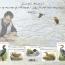 alt for - 18-40-ans-Oiseaux-Buzin-sellable-32462.jpg