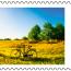 alt for - ThemaStamps_HappySummer2024_Zegel5.jpg