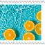 alt for - ThemaStamps_HappySummer2024_Zegel7.jpg