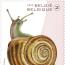 alt for - 16 Landslakken timbreE sellable 32467.jpg