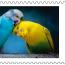 alt for - ThemaStamps_LoyaleVrienden_2025_Zegel1.jpg