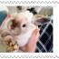 alt for - ThemaStamps_LoyaleVrienden_2025_Zegel3.jpg