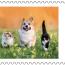 alt for - ThemaStamps_LoyaleVrienden_2025_Zegel5.jpg