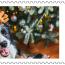 alt for - ThemaStamps_Holiday_Winter_2025_Stamp 2.jpg