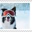 alt for - ThemaStamps_Holiday_Winter_2025_Stamp 8.jpg