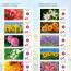 alt for - ThemaStamp_Bloemen_2026_InsideCover.jpg