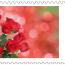 alt for - ThemaStamps_Bloemen_2026_Stamp1.jpg