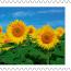 alt for - ThemaStamps_Bloemen_2026_Stamp9.jpg