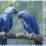 alt for - 20-TaalvanKleur-Blauw-zegel3-AraSpix+©.jpg