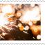 alt for - ThemaStamps_Feest_V5_2026_Stamp-7.jpg